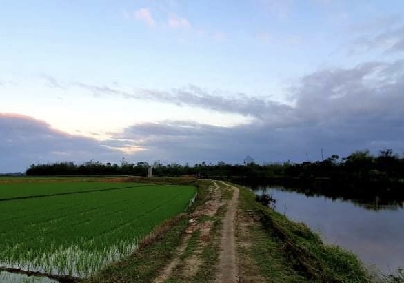 Cảnh quê Lương Mai lúc bình minh