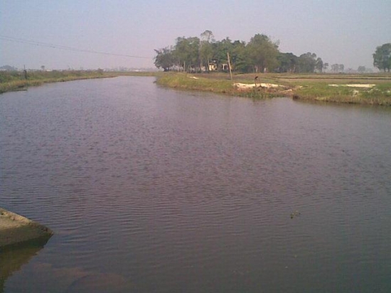 Lịch sử hình thành Làng Lương Mai