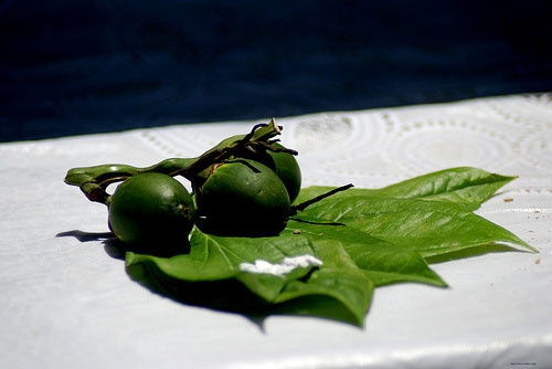 Miếng trầu là đầu câu chuyện