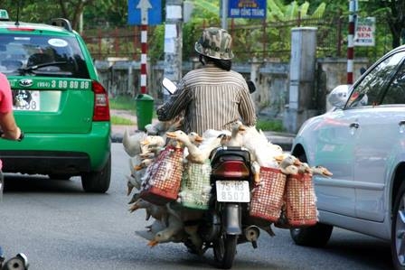 Ngày mai ngày 05/05 âm lịch