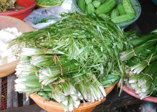 RAU TONG, món ăn dân dã, trời cho ở đôi bờ sông Ô Lâu