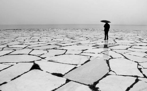 Tôi và đời đã tha thứ cho nhau