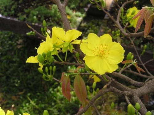 Vội níu thời gian!