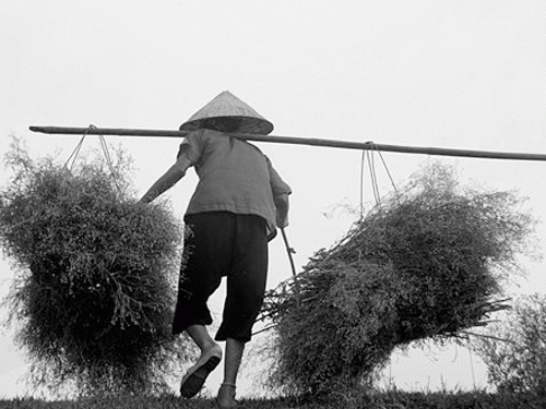 Bài thơ tặng mẹ, nhân ngày Lễ Vu Lan