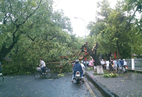 TP Huế: Mưa đá và lốc xoáy gây nhiều thiệt hại