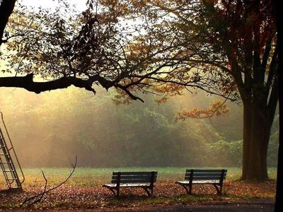 Hoài niệm ... về cuộc sống