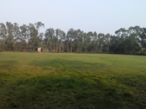 Sôi động mùa xuân