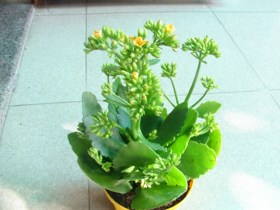 Thơ tình cuối mùa thu