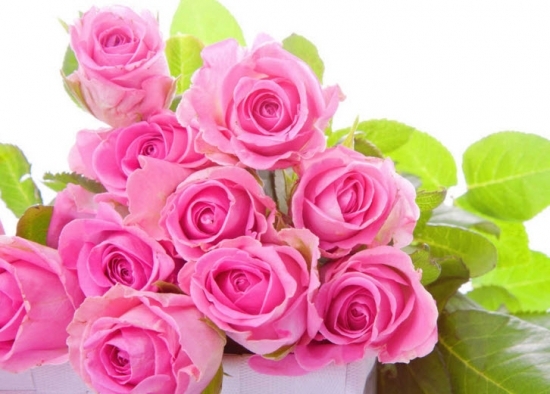 Danh sách đậu ĐH - CĐ năm 2017