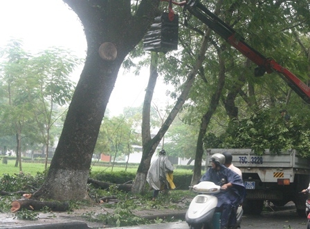Miền Trung bắt đầu có mưa to, gió mạnh