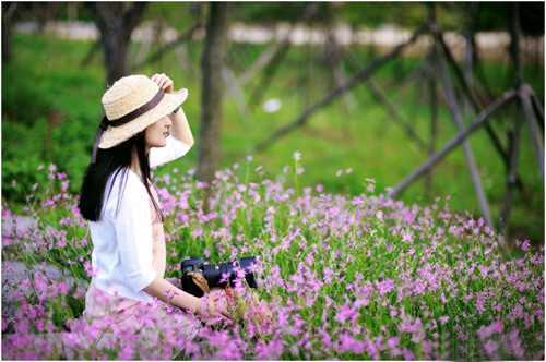 Xin Người Chút Quê Hương