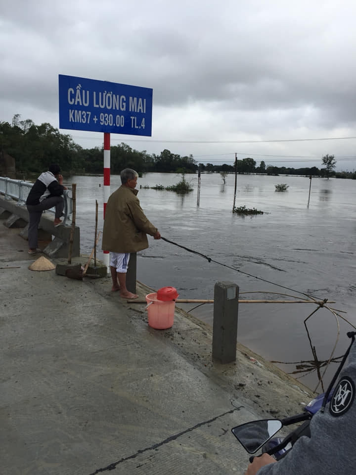 Rớ cá tại cầu mùa nước lũ về