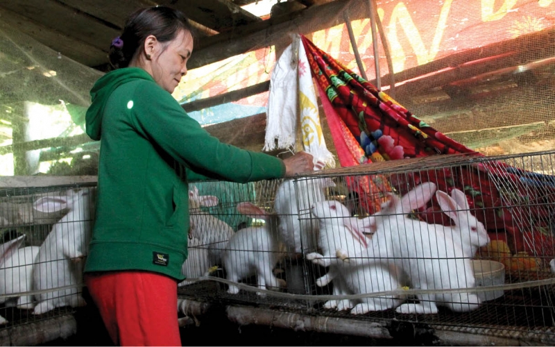 Tự tin cải thiện kinh tế gia đình